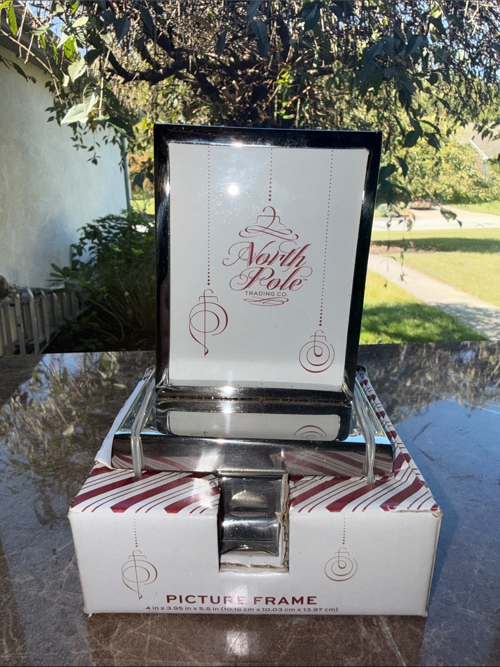 jcpenney Black and Silver Picture Frame with Red Graphics